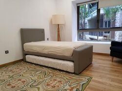Bishopsgate Residences (D10), Condominium #566080411
